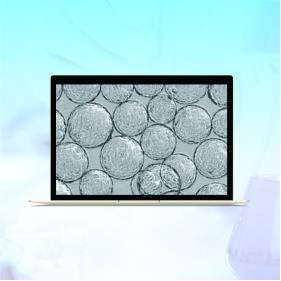 CellDex1球狀載體